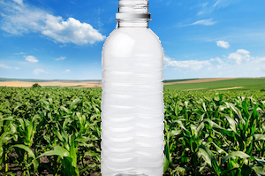 Will plastics cede to paper in the sustainable packaging market?