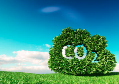 Carbon Reduction Journey
